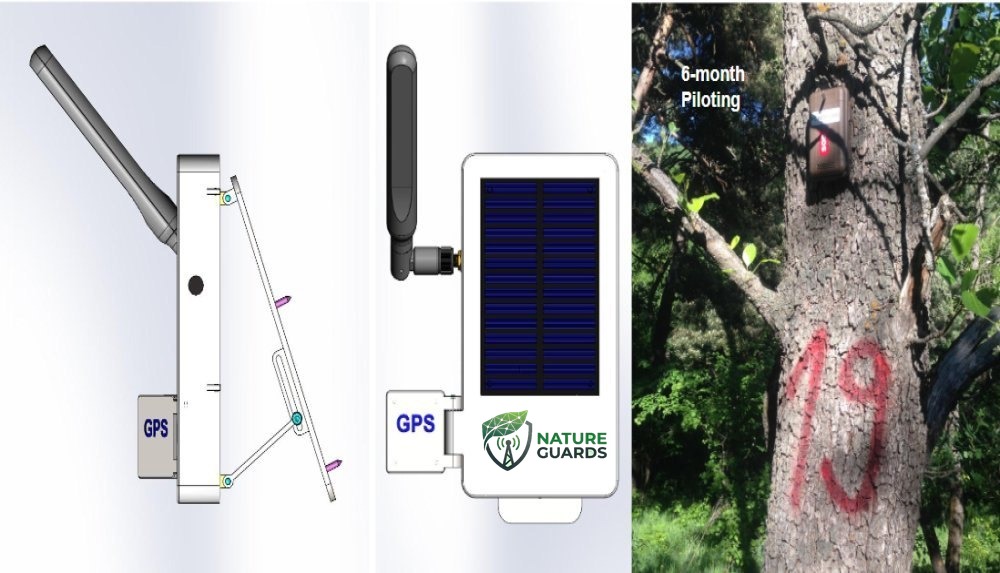 Nature Guards sensor node: CAD side and front views showing the solar panel, LoRa antenna and GPS module, beside a photograph of the enclosure mounted on a tree trunk during a six-month pilot deployment.